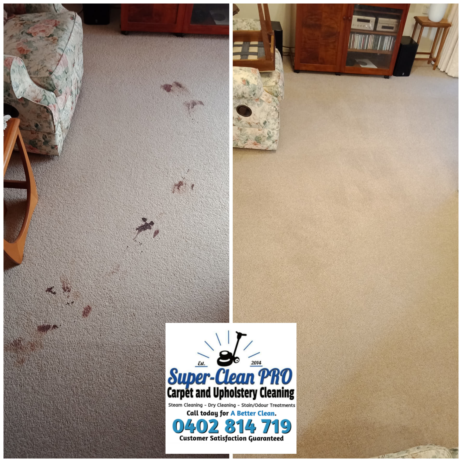 Stain Removal And Odour Treatment Ringwood Super Clean Pro