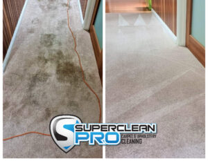 Carpet Steam Cleaning Ringwood