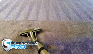 Carpet Cleaning Ringwood