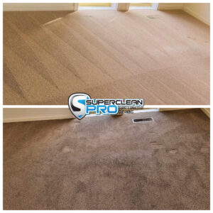 Professional carpet cleaning, Ringwood