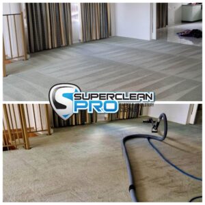 Removing pet oils from carpet, The best carpet cleaning company in Endeavour Hills 3802 Super-Clean PRO Carpet and Upholstery Cleaning 0402814719, Highly recommended
