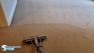 commercial carpet cleaning Ringwood