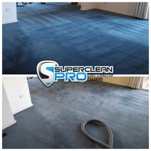wool carpet cleaning in Ivanhoe